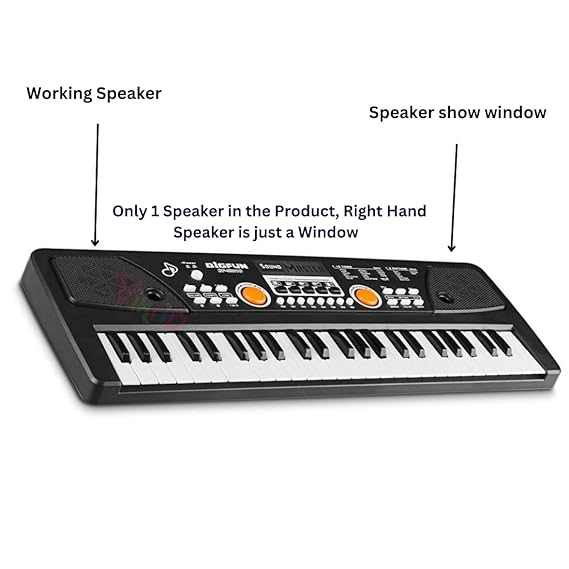 VikriDA Digital Keys Piano Keyboard Electronic Organ Multi-Function Portable with Microphone for Beginner & Professional - 49 Keys