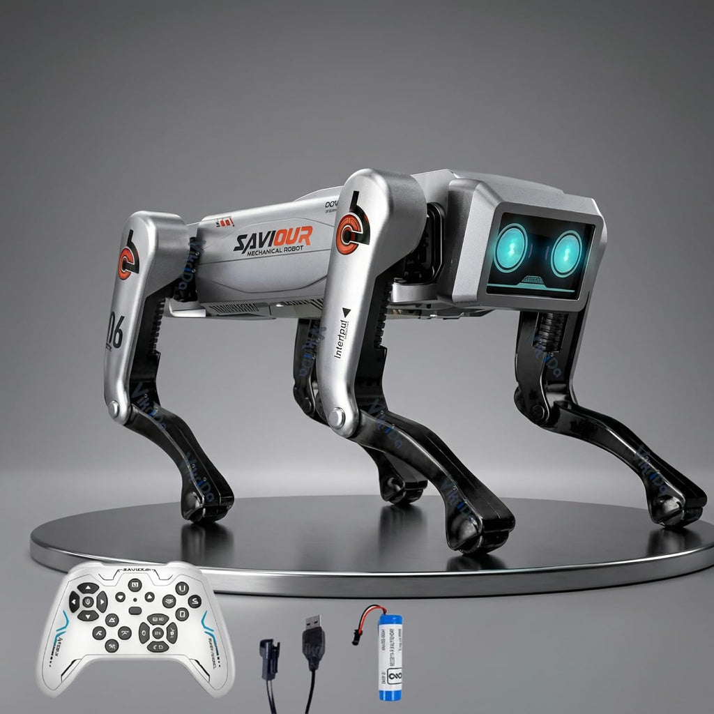 VikriDa Programmable RC Interactive Robot