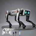 VikriDa Programmable RC Interactive Robot