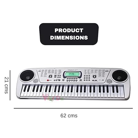 Vikrida 54 Key Electronic Musical Piano Keyboard with LCD Display, Adaptor, Microphone includes 1Pc, Silver