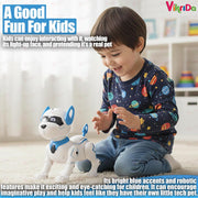 VikriDa Stunt Dance RC Robot Dog for Kids