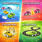 Mini Follow-Me Smart RC Car
