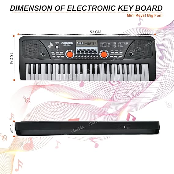 VikriDA Digital Keys Piano Keyboard Electronic Organ Multi-Function Portable with Microphone for Beginner & Professional - 49 Keys